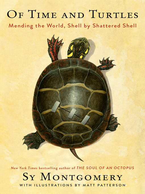 Title details for Of Time and Turtles by Sy Montgomery - Available